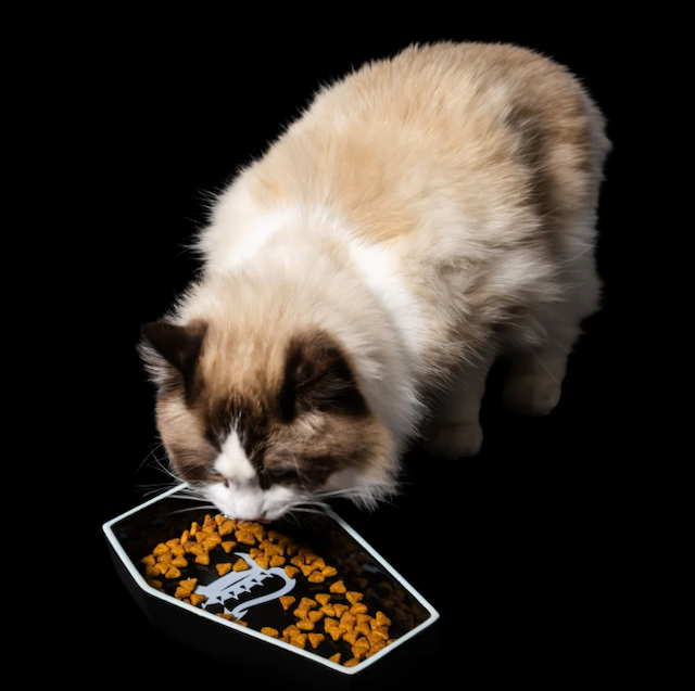 Freak On A Leash Debuts Feline Line with Breakaway Collars