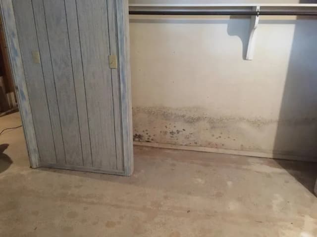 FreshCo Expands Mold Remediation in Wichita with Air Quality Focus