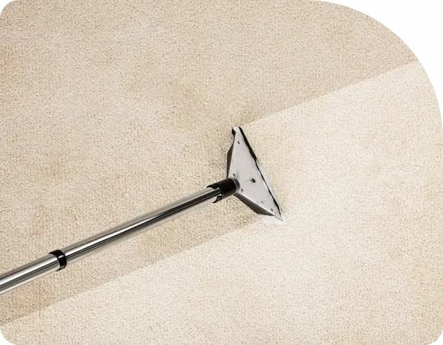 Flood Squad Revolutionizes Sydney Water Damage Restoration with Advanced Tech