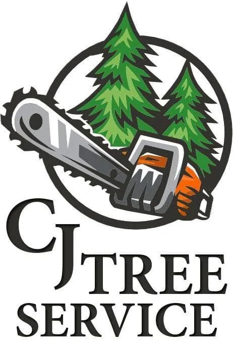 Spring is Here: Time for Tree Care with CJ Tree Service