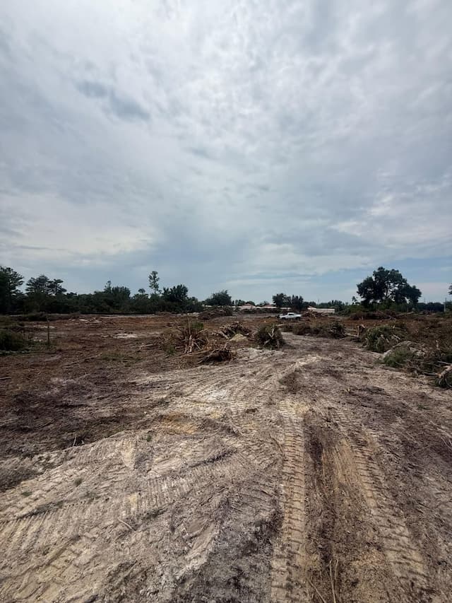 VB Tree Removal Launches Guide to Land Clearing Costs and Services