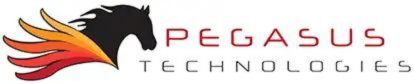 Pegasus Technologies Swaps Servers for Golf at Chamber Cup