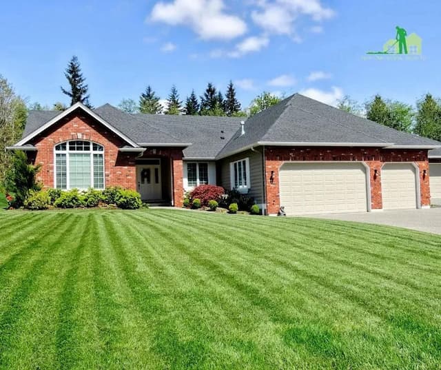 Pet-Safe Lawn Treatments Launch in St. Johns by Local Provider