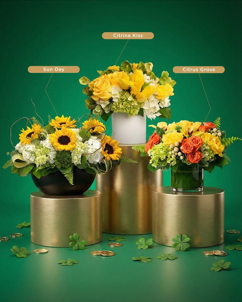 Juno Beach Florist Unveils Signature Orchid Collection for Coastal Elegance