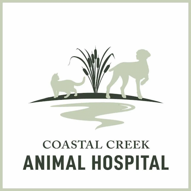 Protect Your Dog from Holiday Food Dangers with Best Practices from Coastal Creek Animal Hospital