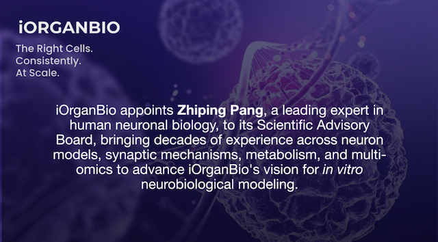 iOrganBio Appoints Neuron Expert Dr. Zhiping Pang to Advisory Board