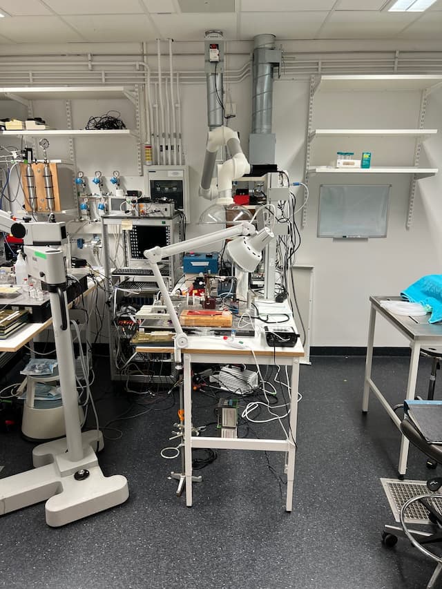 Leksum's EVs Show Promise in Reducing MV-Related Lung Injury Risks