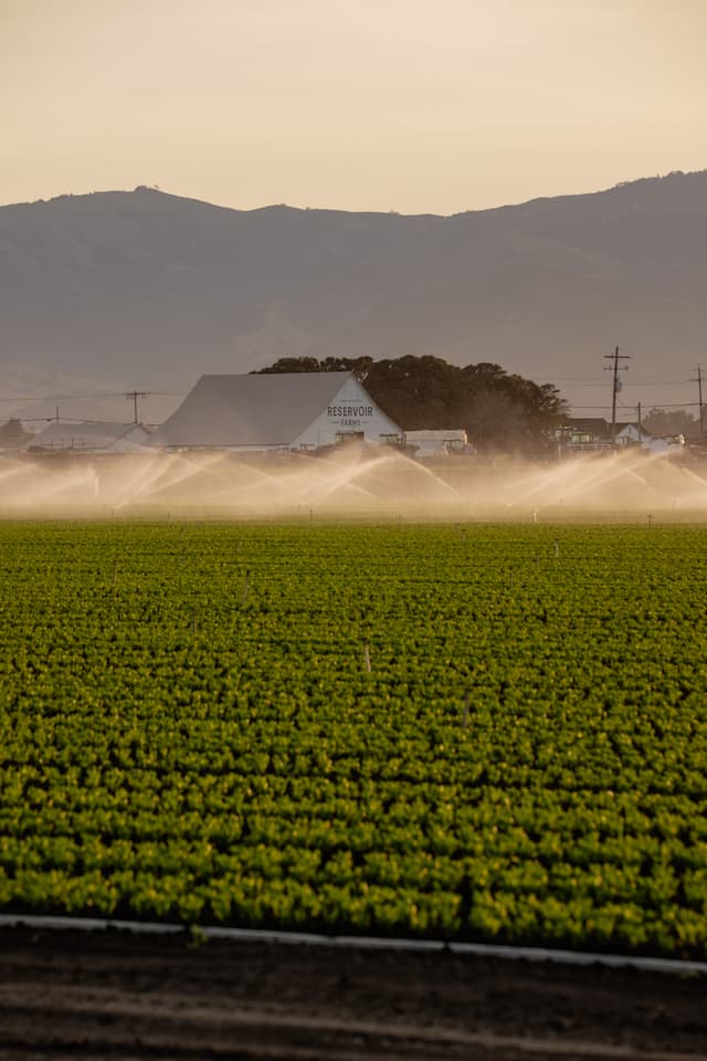 Reservoir Opens Farms for Free, Boosting AgTech Innovation