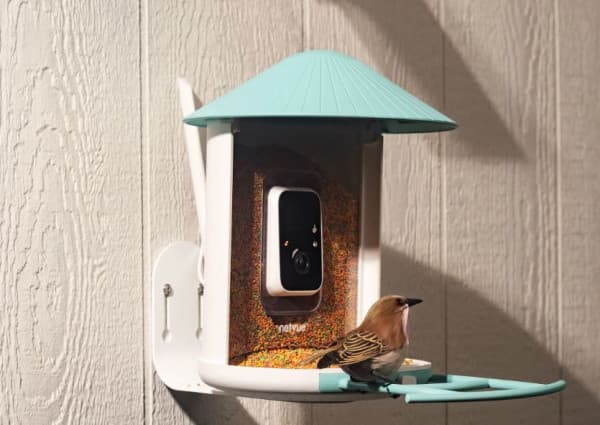 Birdfy Launches Next-Generation Bird Feeder Cameras for 2025