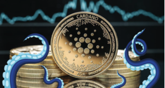 Octoblock Offers $50,000 USDC Reward Amid Cardano (ADA) Hype Concerns