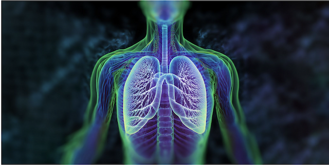 MAIA Biotechnology's THIO Achieves High Efficacy in Advanced Non-Small Cell Lung Cancer Treatment