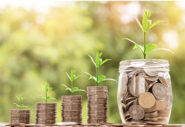 Wolfpack Financial Innovates to Empower Millennials and Gen Zers in Investing