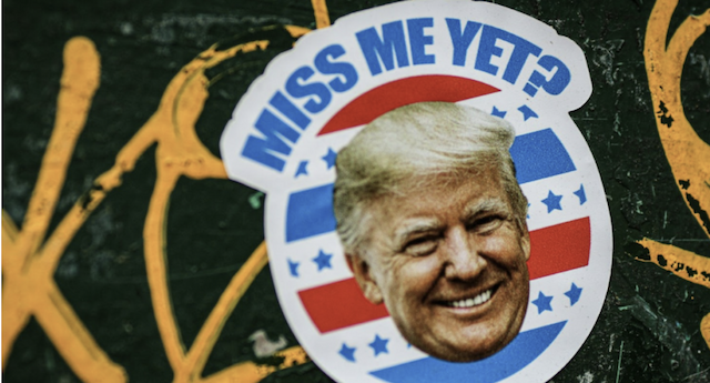 Trump's Pro-Crypto Stance Sends Meme Coins Soaring