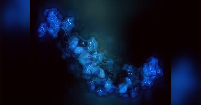 Creative Bioarray Offers Comprehensive In Vitro ADME Services