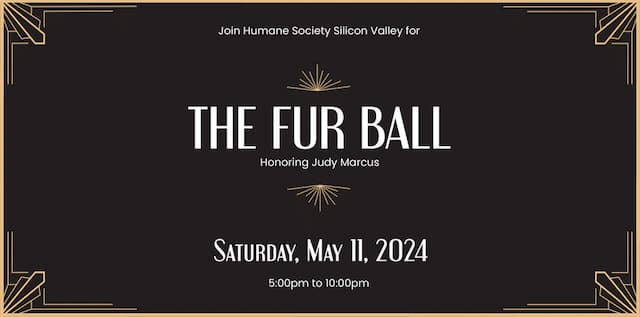 Humane Society Silicon Valley to Celebrate Honorary Board Member Judy Marcus at The Fur Ball