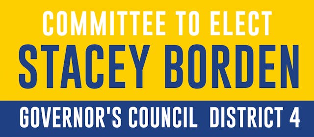 Stacey Borden Secures Spot on Ballot for Governor's Council District 4