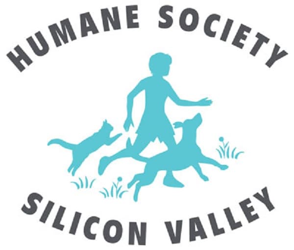 Petco Love Grants $25,000 to Humane Society Silicon Valley for Lifesaving Work