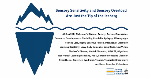 Sensory Friendly Solutions Launches Sensory Friendly 101 Course to Create Inclusive Environments
