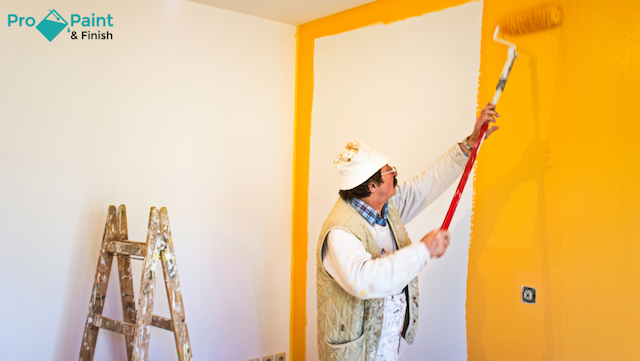 Pro Paint & Finish Announces Fall 2024 Interior Project Schedule