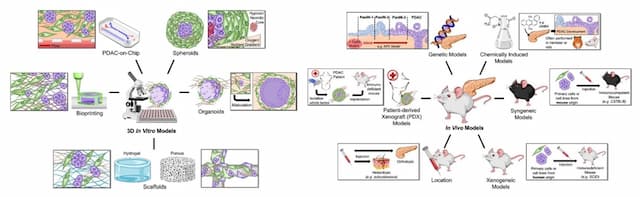 Alfa Cytology Introduces Cancer Diagnostic Biomarker Development Services