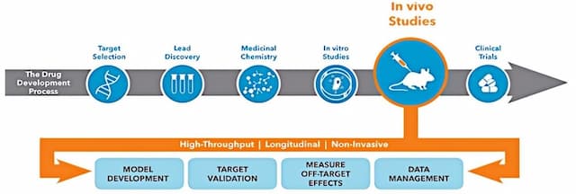 Alfa Cytology Unveils Cutting-Edge Services for Leukemia Small Molecule Drug Development