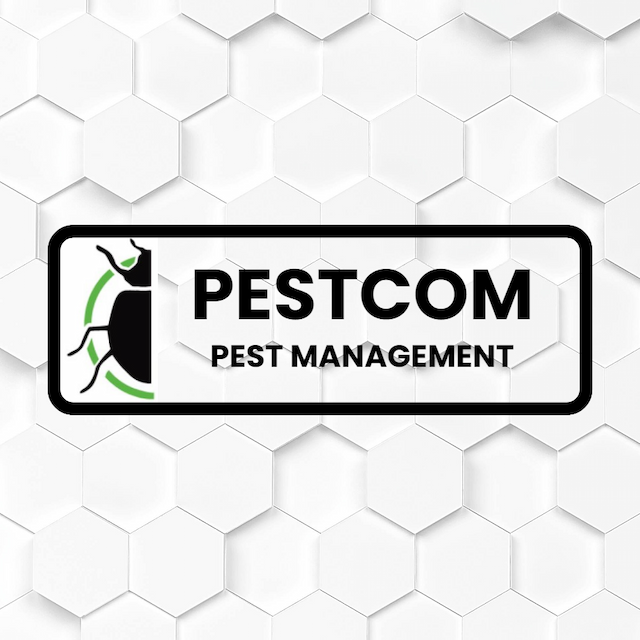 Pestcom Pest Management Announces Continuation of Holiday Lighting Services