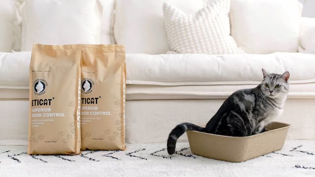 ALFRED PETS, INC Launches Eco-Friendly Cat Litter ETICAT+ Made from Recycled Coffee Grounds on Kickstarter