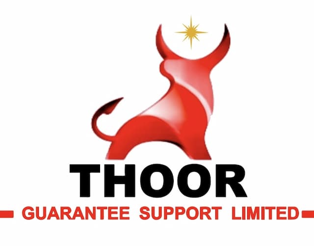 Thoor.org Launches BENZU SMART: High-Tech Protection Service for Smartphones, Tablets, and Computers