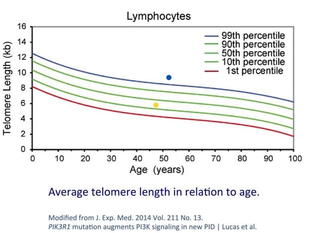 Intermittent Fasting Study Shows Dramatic Telomere Length Increase