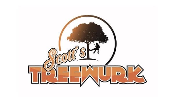 Treewurk: Your Go-To Resource for Professional Tree Services in Sandy Springs, GA