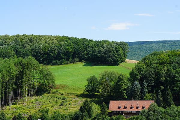 Transformative Yoga and Wellness Retreat at Gaia Retreat House in Germany