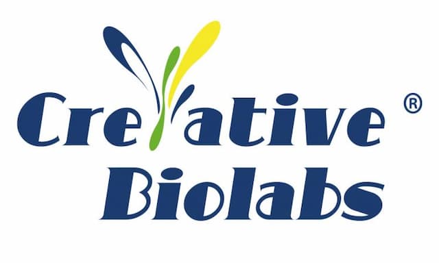 Creative Biolabs Enhances ADC Drug Development Platform