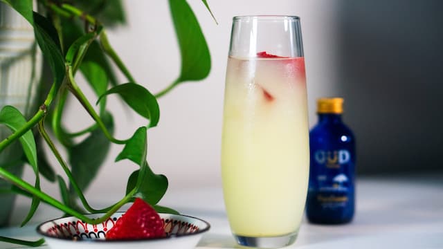 GÜD Tonics Offers Tropical Twist for Christmas Celebrations with 'Buy 2, Get 1 Free' Sale