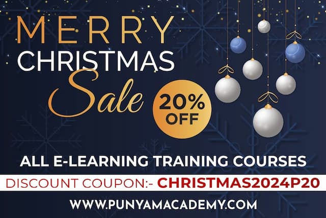 Punyam Academy Offers End of Year 2024 Discount on Christmas for ISO Auditor Training