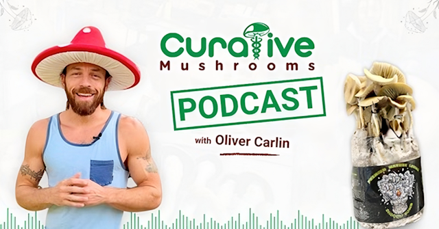 Curative Mushrooms Podcast Season 3 Launch: Growing 'Happy Mushrooms' at Home