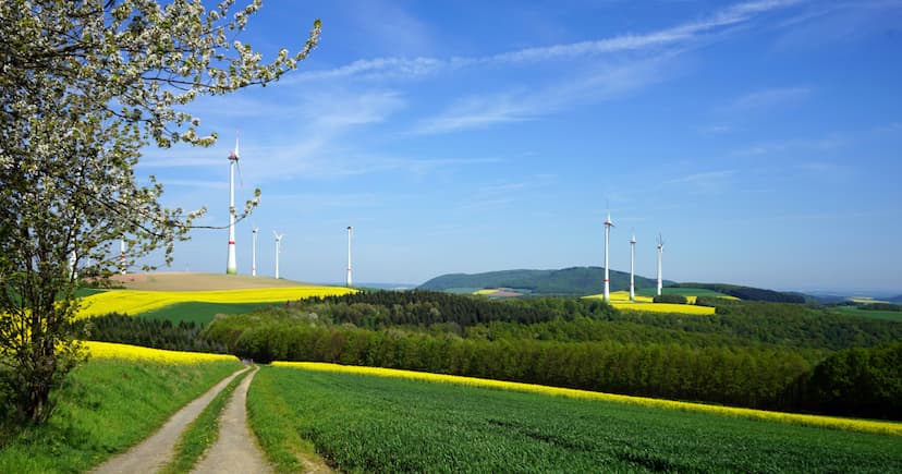 Greenland Energy's Jameson Land Basin Touted as Key to Energy Independence