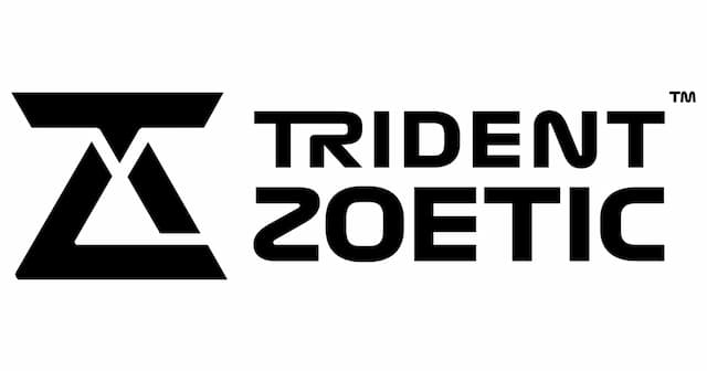 Trident Zoetic Expands Leadership Team for Global Tech Infrastructure Push