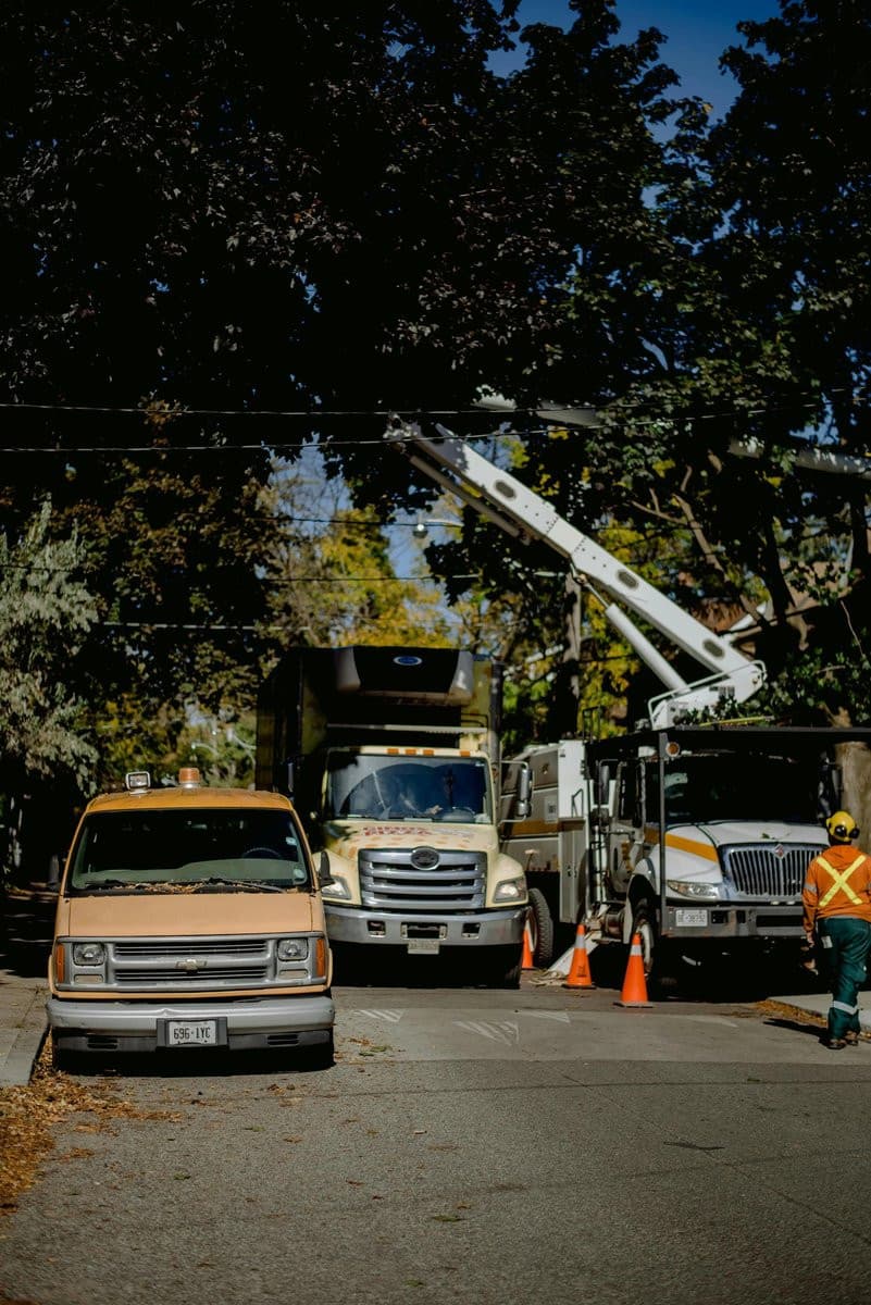 Lancaster Tree Pros: Your 24/7 Emergency & Full-Service Tree Care Experts