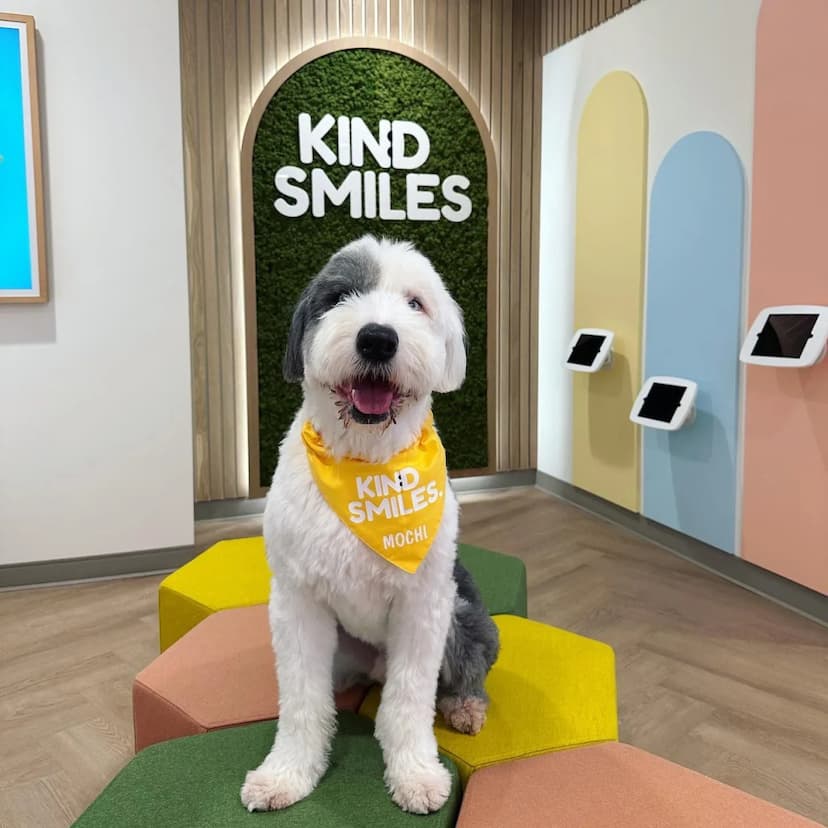 Kind Smiles: Irvine's Premier Family Orthodontist & Pediatric Dentist